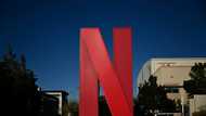 Netflix profits surge off ads, higher subscription prices