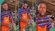 "That's how Moses Bliss started": Handsome man selling veggies goes viral as he cuts with speed