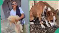 NYSC lady who is veterinary doctor shows reaction of dog she was caring for as service year ends