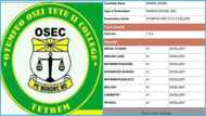 Student from Category B school gets a perfect score in 2023 WASSCE: “Straight As”