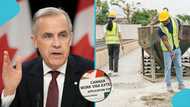 Canadian work permit: IRCC lists 8 new punishments for immigrants working without certification