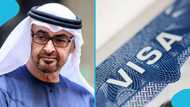 UAE publishes list of 46 countries eligible for 90-day visa on arrival