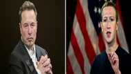 Musk and Zuckerberg call out each other for cage fight
