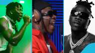 Stonebwoy featured in Little Lion Sound, rattles thick patois in new freestyle, fans hail him: "No settings"