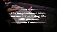 25+ inspirational Bible verses about living life with purpose