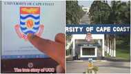 UCC student makes aviator-like metaphor about GPA in the school in hilarious video
