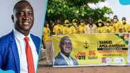 Yellow Ghana rejects claim it copied Alan Kyerematen's Movement for Change colours