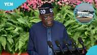 Heartbreak as 25 officials die at a go; President Tinubu declares 3-day mourning