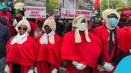Save the judiciary demo: Protesters dress like justices of the Supreme Court