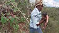 Photos of newborn baby being rescued from bush heat up social media with reactions