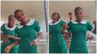 Two beautiful Ghanaian nurses join viral TikTok challenge, display tempting dance moves while at work (video)