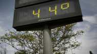 Western Europe wilts under heatwave