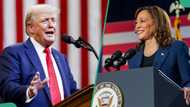 BREAKING: Trump leads with 267 electoral votes, Harris at 214 as US 2024 election results emerge