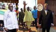 Akufo-Addo and his Free SHS join 'Ghana history' memes trend; photo pops up