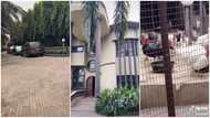 TikToker flaunts her huge house in Africa with poultry farm and other impressive features