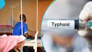 Typhoid outbreak kills a chief, former appointee in Dambai, as cases rise over 10,000 in Oti Region