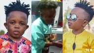 Fans shout after Don Little displays special 'Zanku' dance skill in funny video