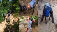 This is heartbreaking: reactions as residents of a community dig ground with their hands for dirty water