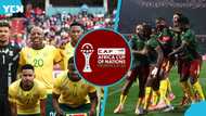 Complete list of TV channels that will telecast South Africa-Cameroon clash