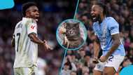 Mysterious cat tips Real Madrid to beat Semenyo's Man City (Video)