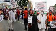 Why I joined the #FixTheCountry even though my knee hurts - 78-year-old protester with big placard speaks