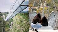 World's longest pedestrian suspension bridge officially open in Portugal; internet awed