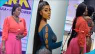 Ghanaian model with heavy curves Afia Ansah slays in a flowing skirt and a top with puff sleeves to host the Game Park Ghana launch