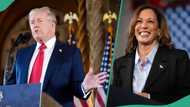 US: Harris reportedly leading Trump among Latino voters in battleground state, points gap emerge