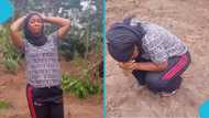 Ghanaian female farmer breaks down after unknown individuals destroys her farmland