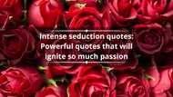 Top 50+ intense seduction quotes: Powerful quotes that will ignite so much passion