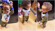 Who owns this baby? Kid in yellow joggers gives stunning performance, dances with head, video goes viral