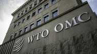 Brazil seeks WTO relief against Trump tariffs