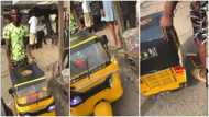 Talented young man builds fully functional 'pragya' from scratch; video wows many