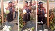 Pretty Ghanaian coconut seller displays amazing strength as she peels husks, customers act surprised in video