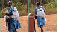 Mother straps twin babies to her back at the same time with wrapper, video stuns viewers