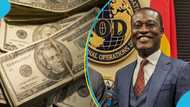 Special Prosecutor busts counterfeit syndicate in Accra, discovers 40 million in fake dollars