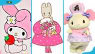 25 Adorable Sanrio characters' names and pictures that fans can't get enough of