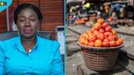 Burkina Faso lifts ban on tomato export to neighbouring Ghana