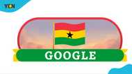 Independence Day: Google Doodle marks Ghana at 67 with beautiful waving Ghanaian flag