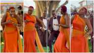 E for energy: Pretty bridesmaid wows with her wild dance moves at wedding, video stirs reactions