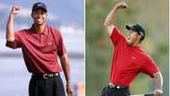 Tiger Woods Released from Hospital