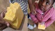 Dad shares funny pic of toddler with the cheese, SA can't get enough: 'best crime ever'