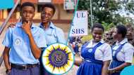 2026 WASSCE results are out: WAEC cancels results of 8,295 candidates