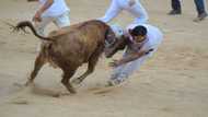 Foreigners flock back to Spain bull-running fiesta