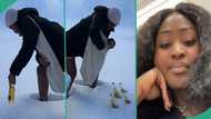 "I want this experience": Lady living in Canada uses snow as refrigerator for her drinks