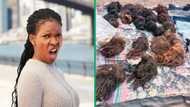 Woman gives away old wigs on Facebook, South Africans amused by the scruffy hair's questionable quality