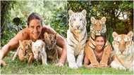Man who raised tigers from their infancy shares his old and new photos with them