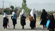 UN condemns 'shameful' year-long ban on Afghan girls' education
