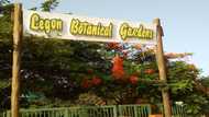 Legon Botanical Gardens: Background, location, activities, fees, opening and closing time