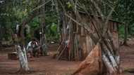 Indigenous Guarani live in deepening poverty in Brazil